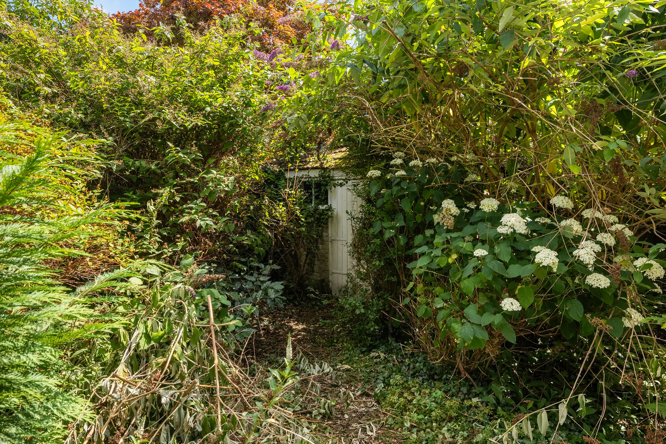 Foto 30 van van Wassenaerlaan 37