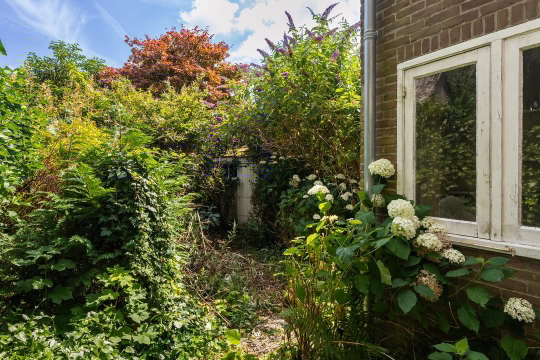 Foto 31 van van Wassenaerlaan 37