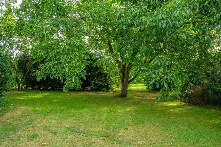 Photo 60 of Noordenveldweg 110