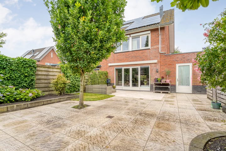 Foto 2 van Leeuwentand 13