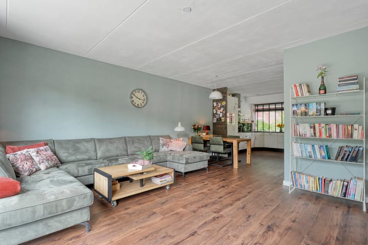 Foto 5 van Leeuwentand 13