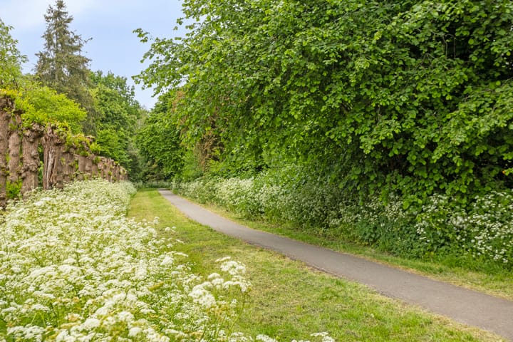 Photo 38 of Klagerstuin 10