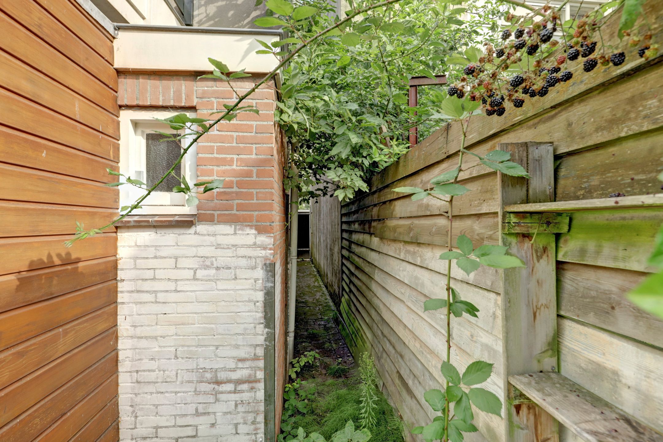 Foto 15 van Leidseweg 45