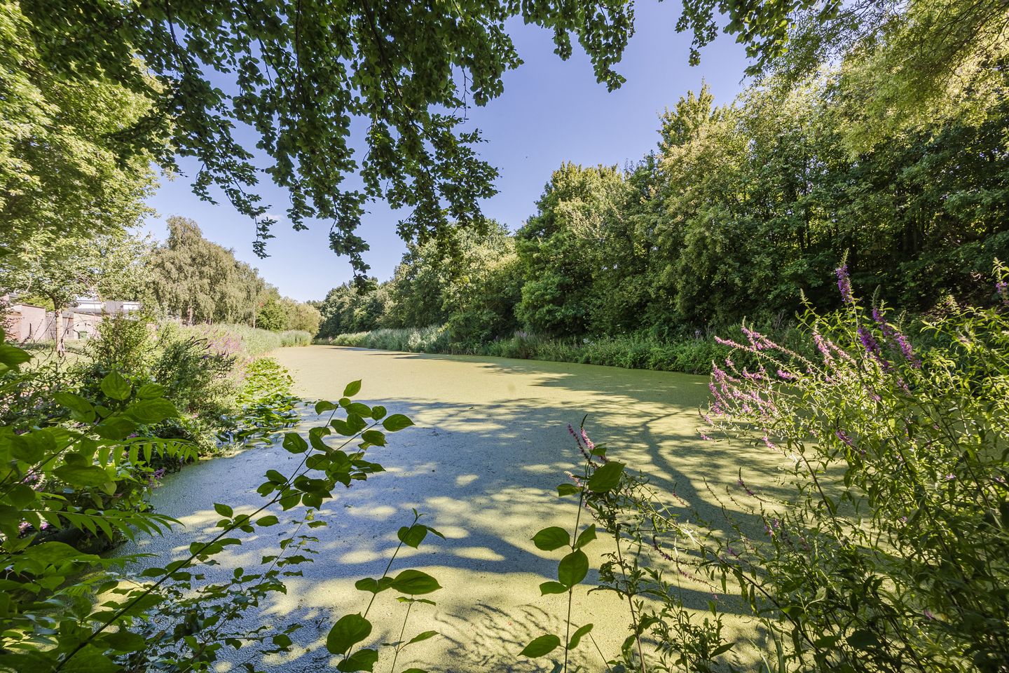 Foto 40 van Sirius 92