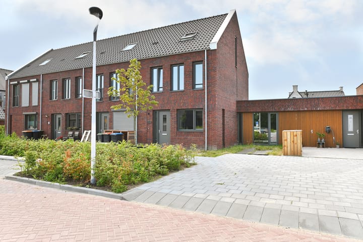 Dwingel 8 main image