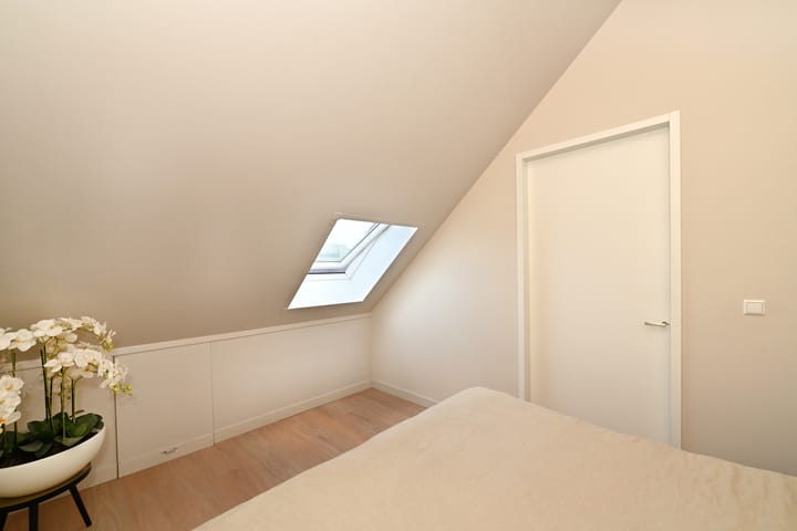 Photo 29 of Dwingel 8