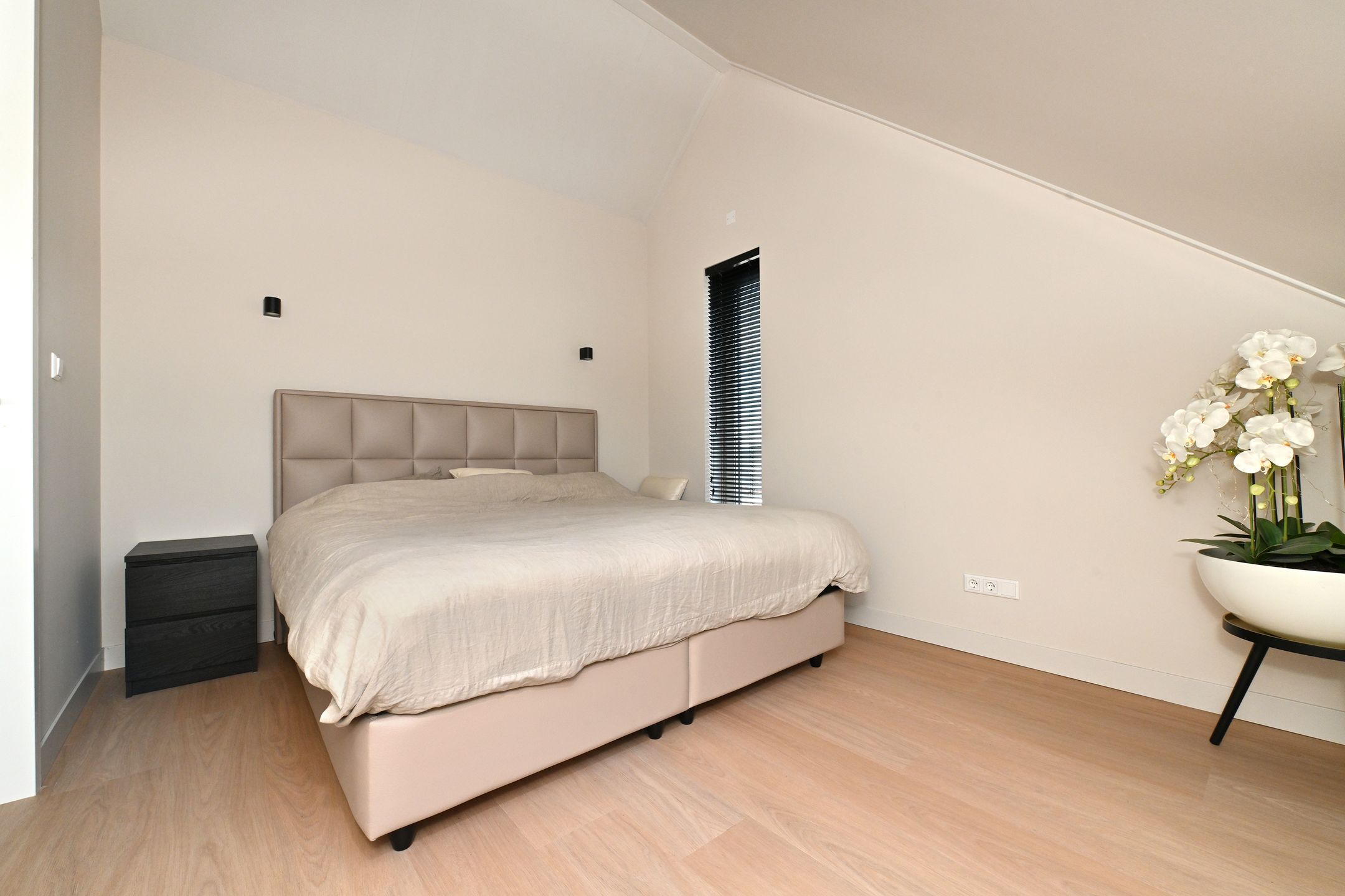 Foto 30 van Dwingel 8