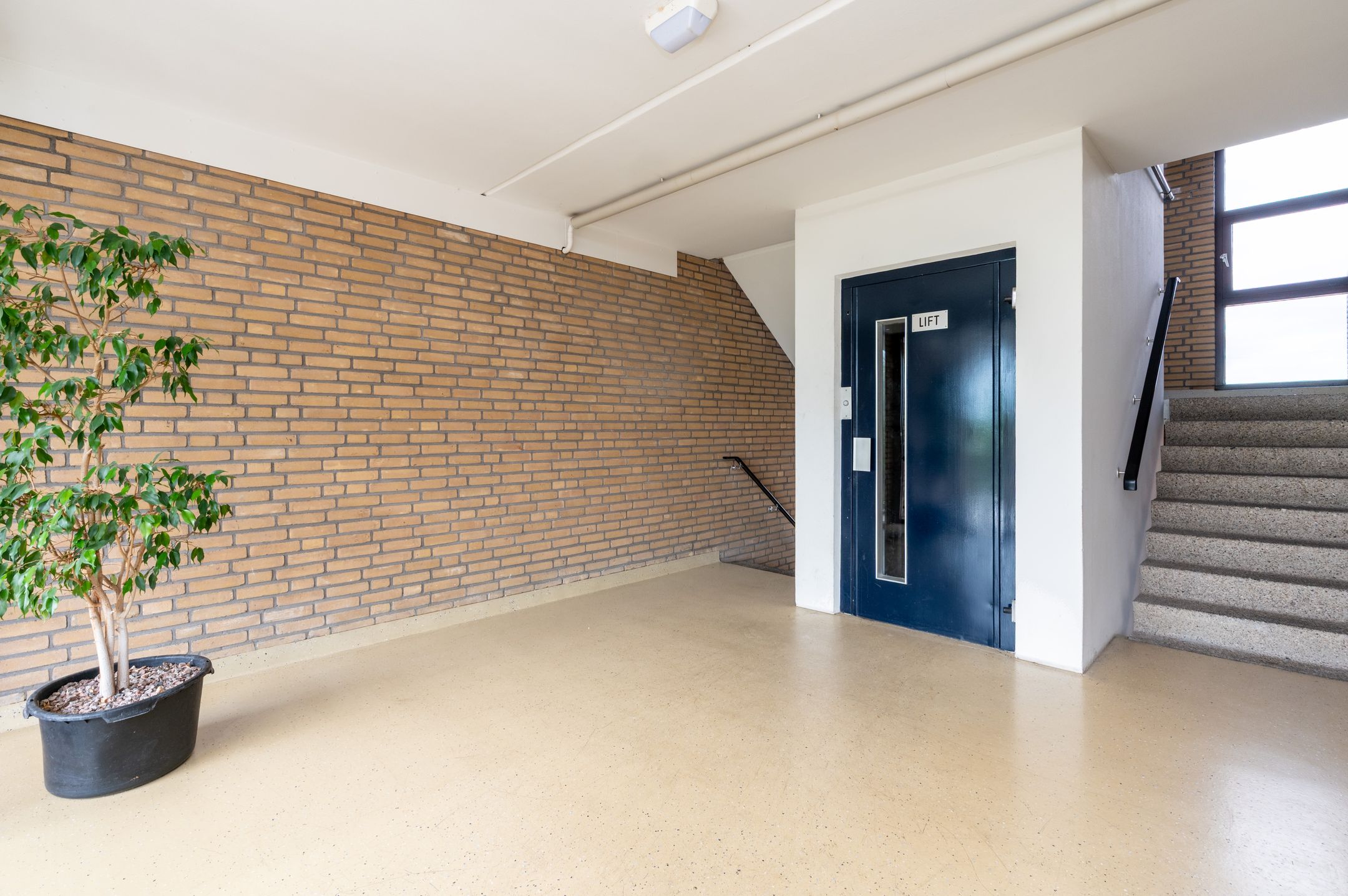 Foto 3 van Eksterweg 128