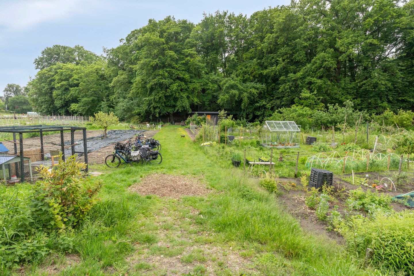 Foto 35 van Hendrik van der Graaflaan 13