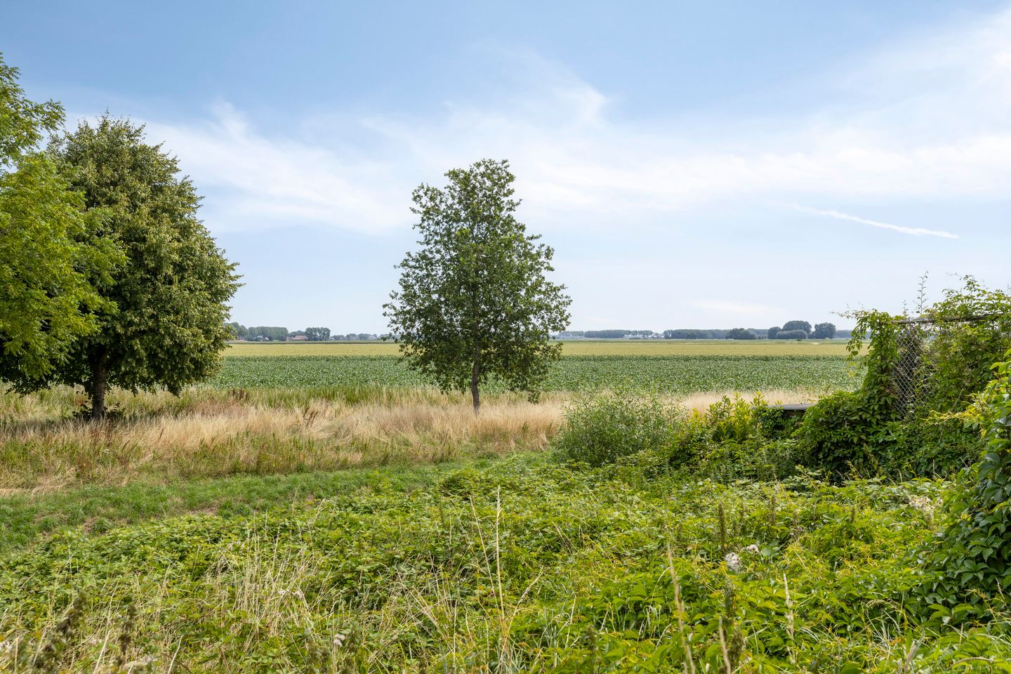 Foto 25 van Zwartsluisje 117