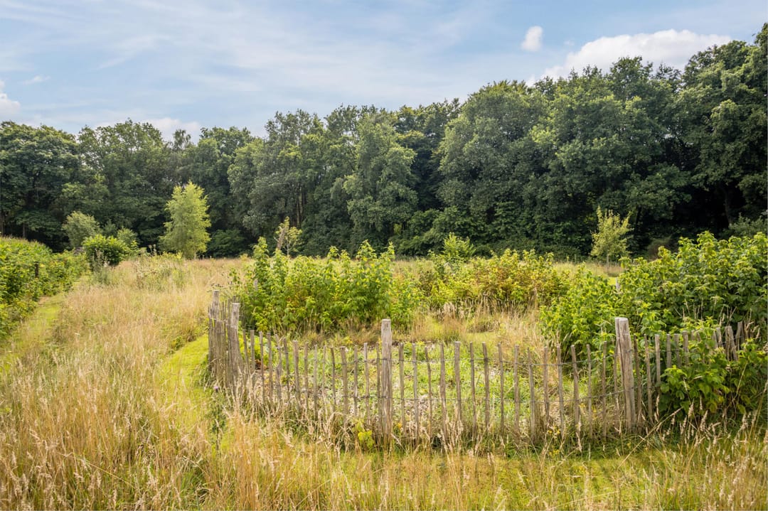 Foto 41 van Okkenbroekerveldweg 1-C