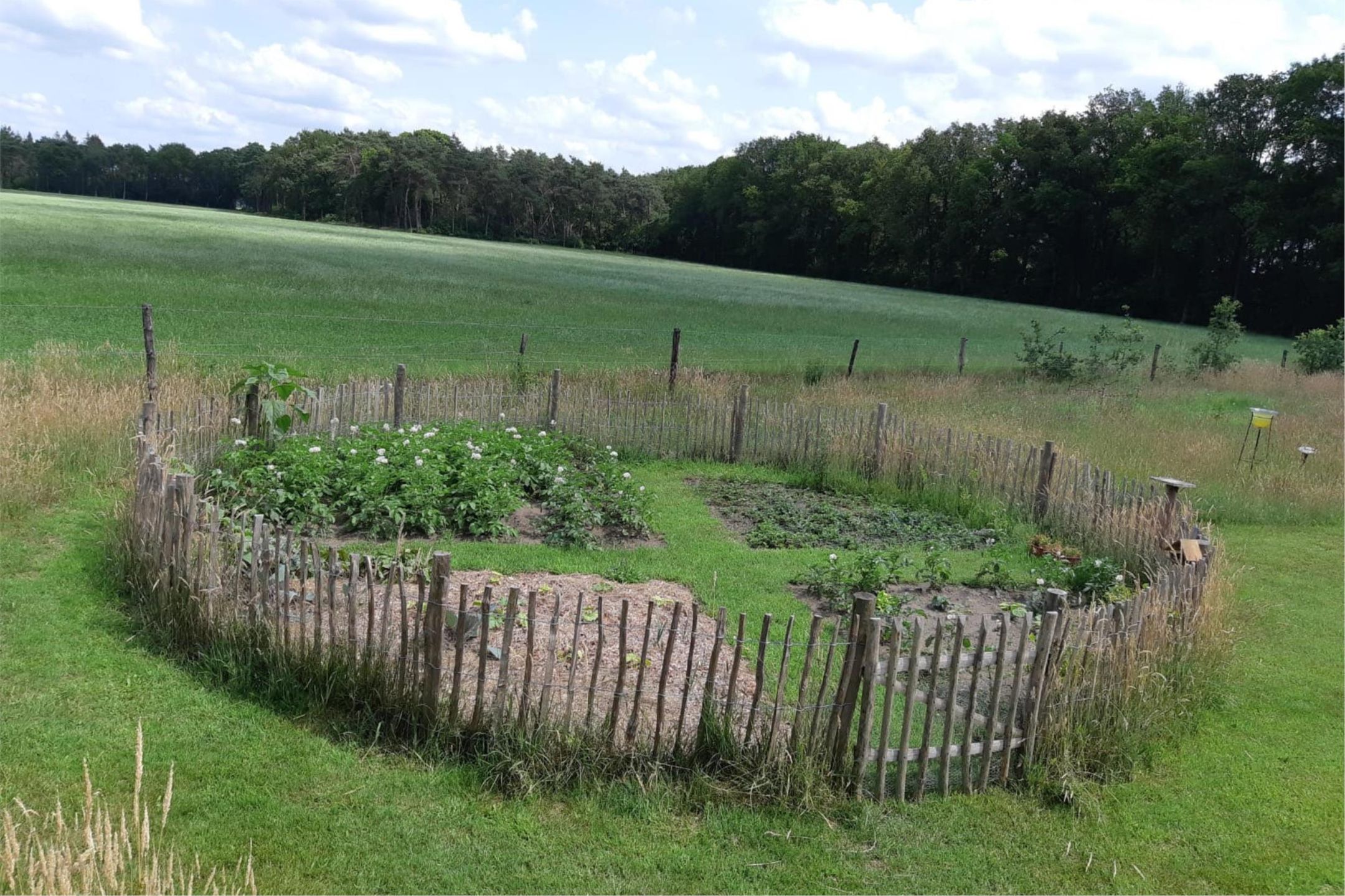 Foto 42 van Okkenbroekerveldweg 1-C