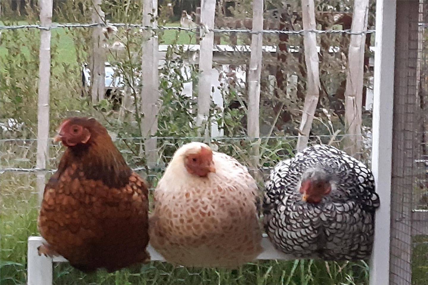 Foto 44 van Okkenbroekerveldweg 1-C