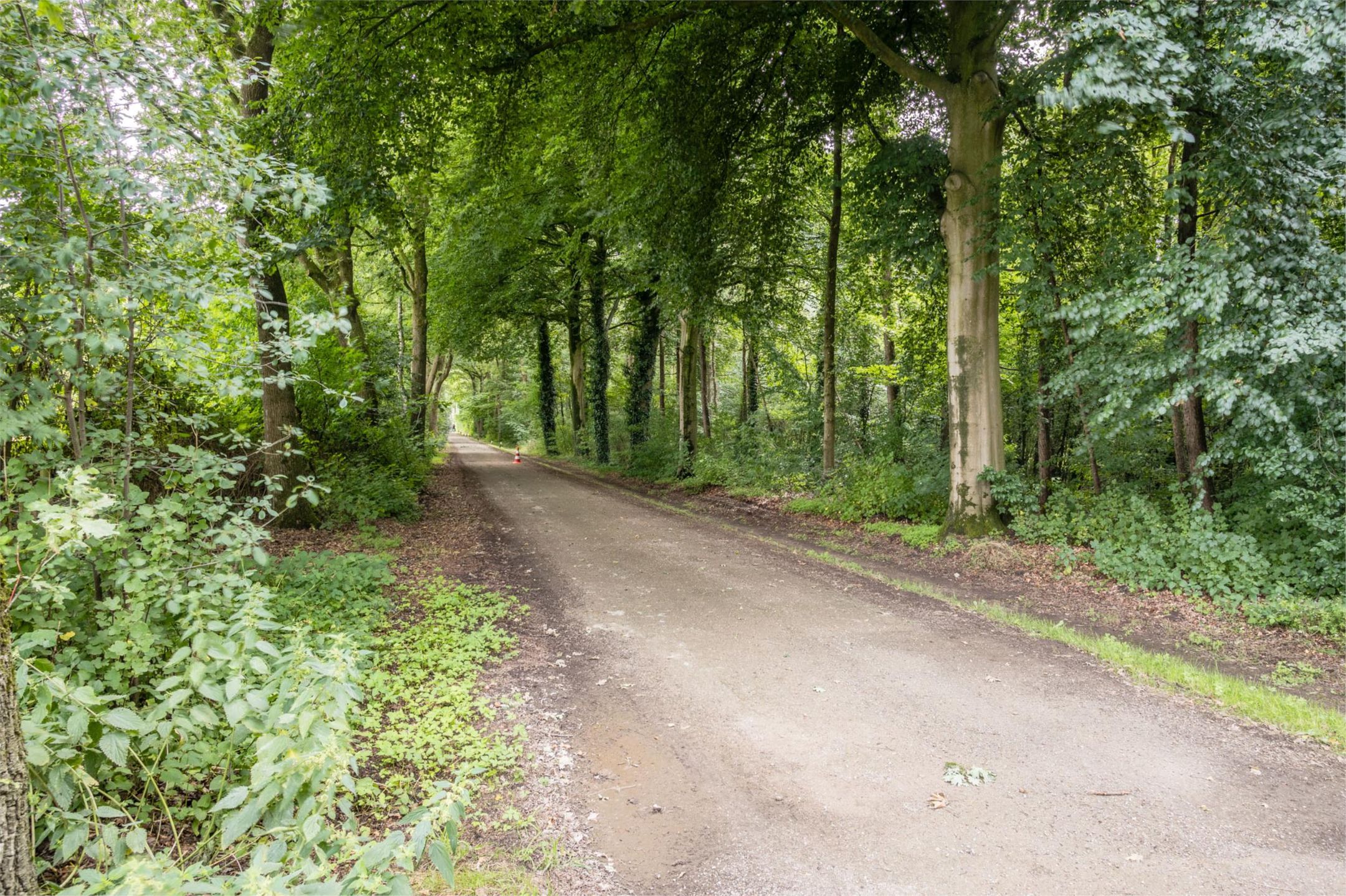 Foto 51 van Okkenbroekerveldweg 1-C