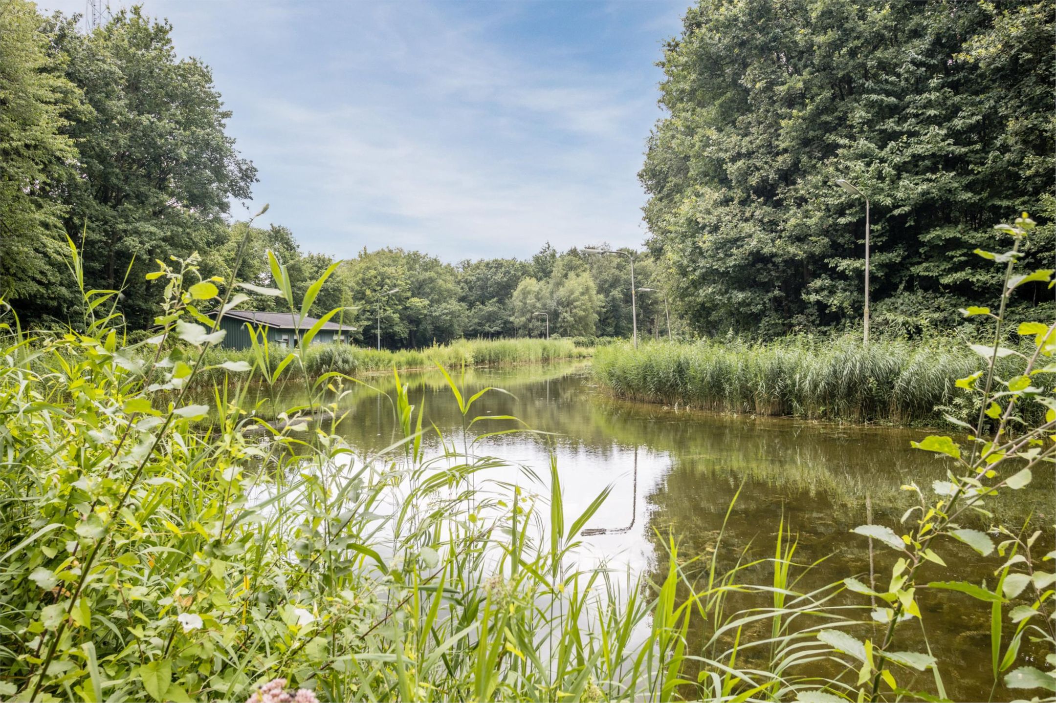 Foto 54 van Okkenbroekerveldweg 1-C