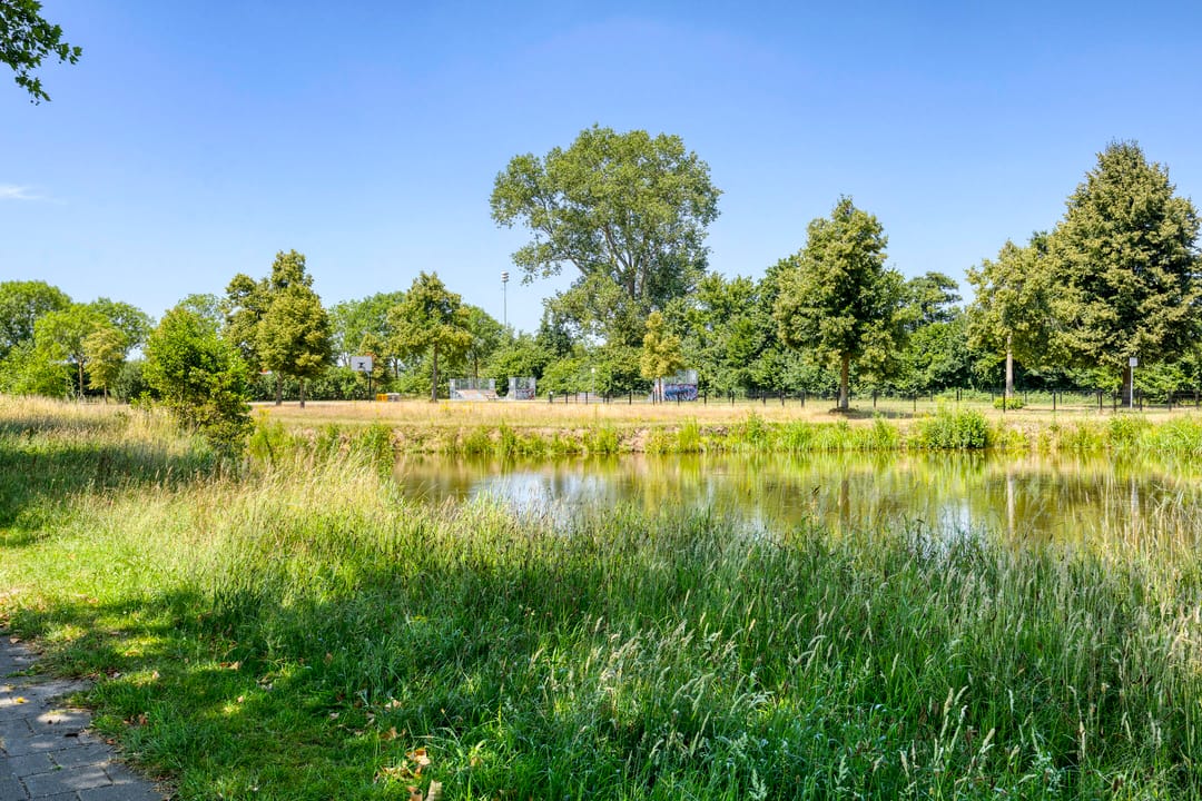 Photo 7 of Costerlaan 17