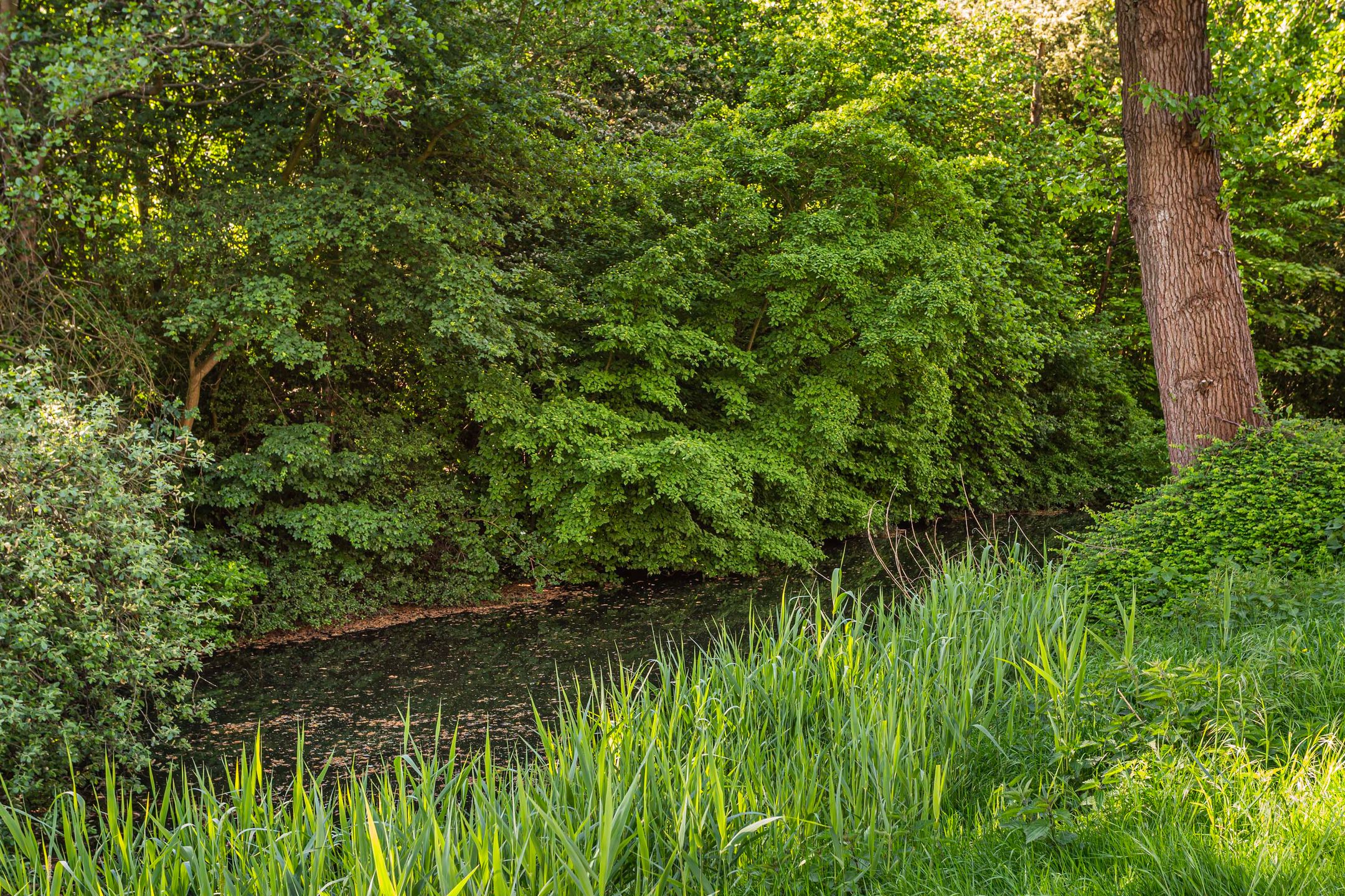 Foto 39 van Blijdeburg 23