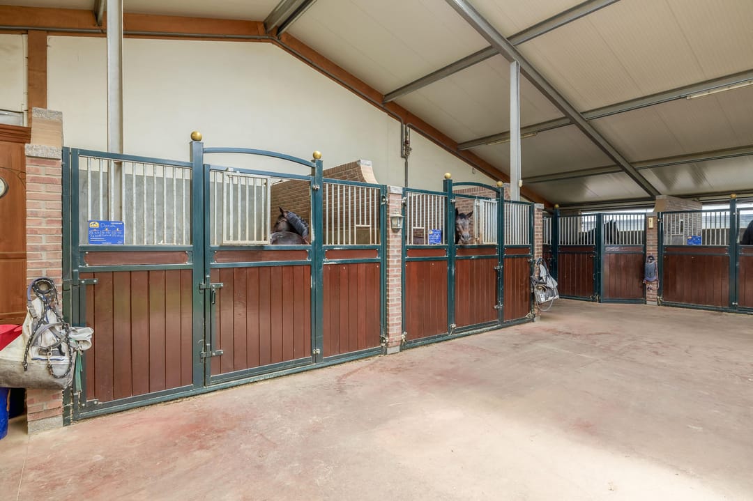 Foto 32 van Waatselaarstraat 3