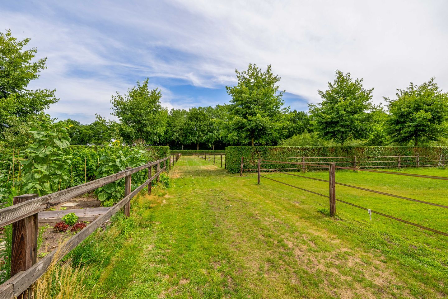 Foto 65 van Waatselaarstraat 3