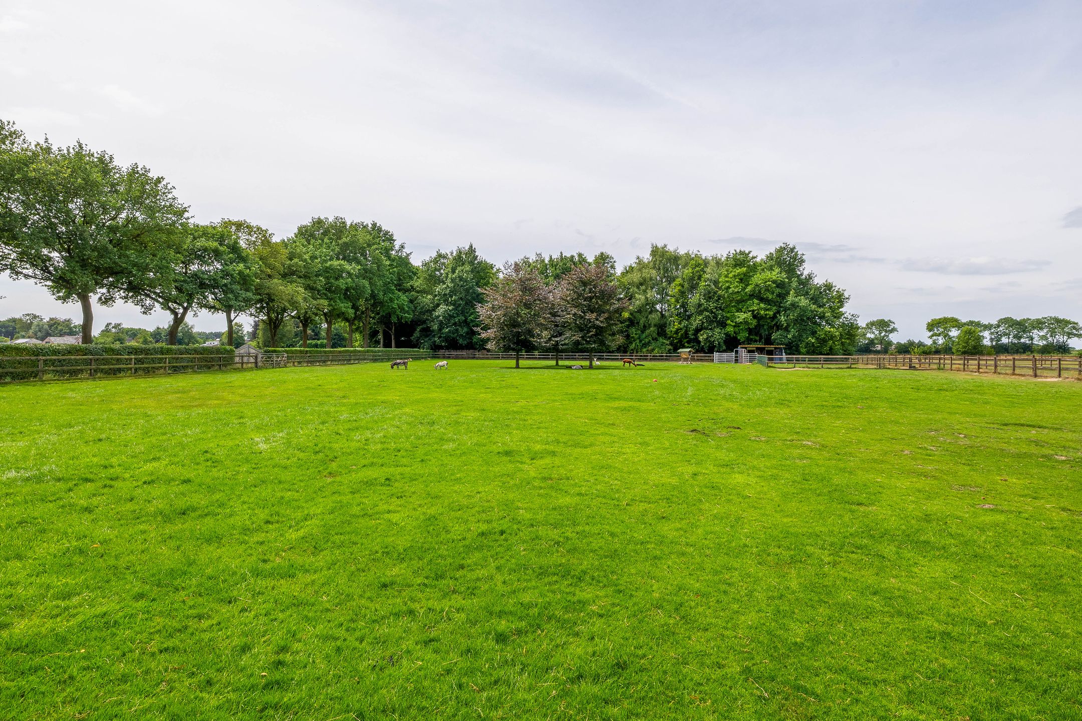 Foto 69 van Waatselaarstraat 3