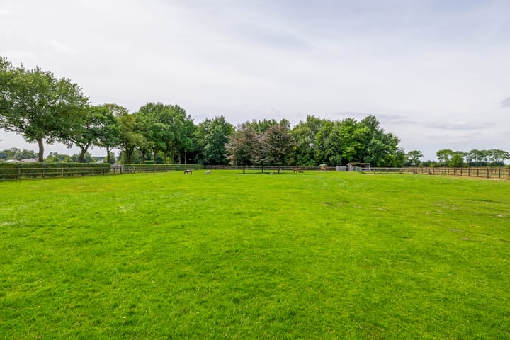 Foto 69 van Waatselaarstraat 3