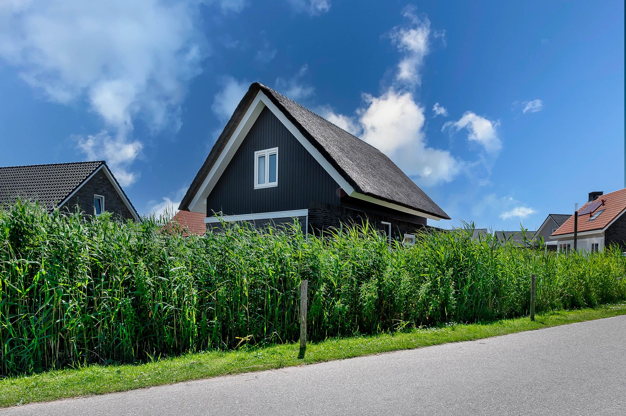 3-bedroom freehold villa in Ouddorp — photo 4 of 5