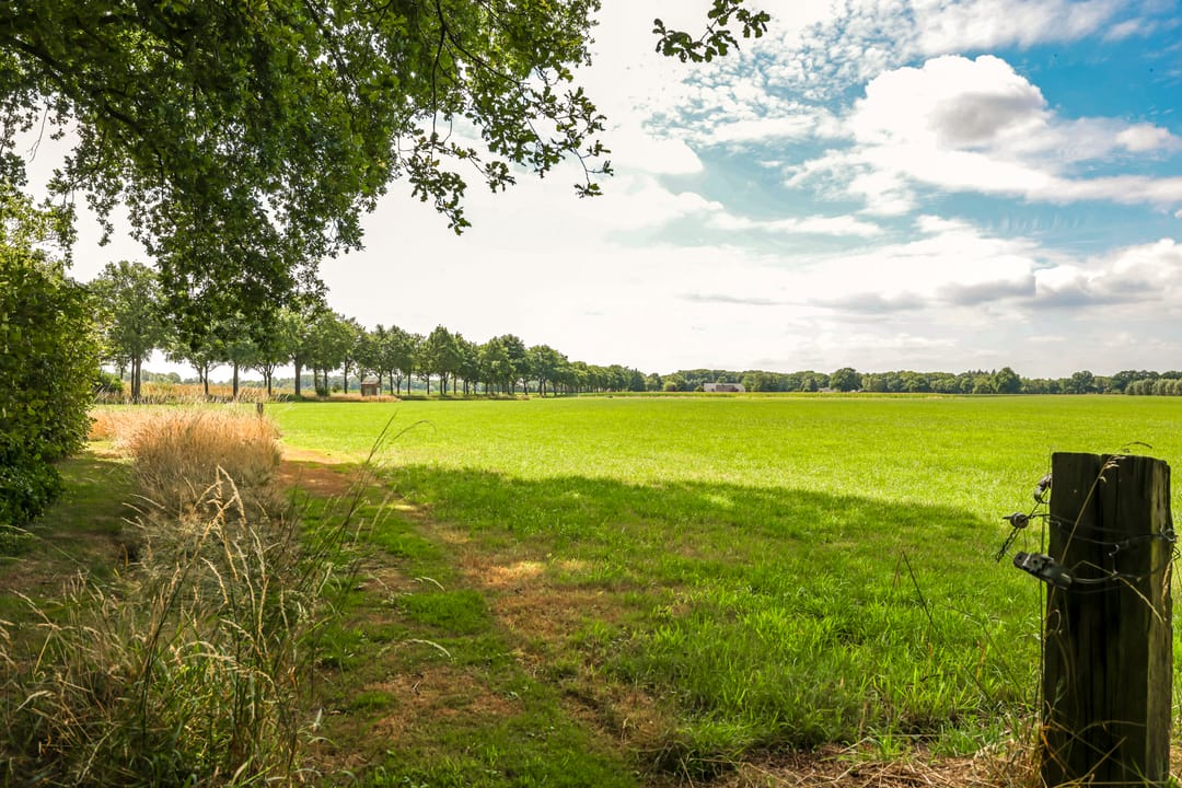 Foto 31 van Keppelbroeksdijk 9