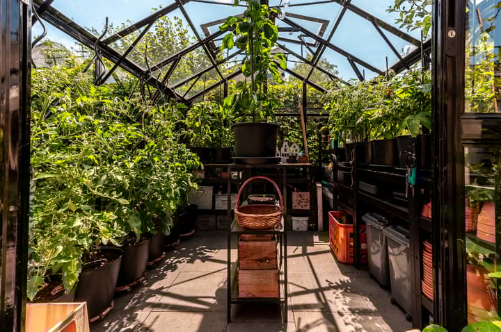 Foto 50 van Elzenstraat 6