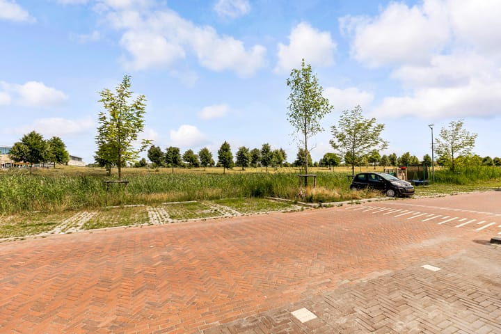 Foto 67 van Cypruskade 12