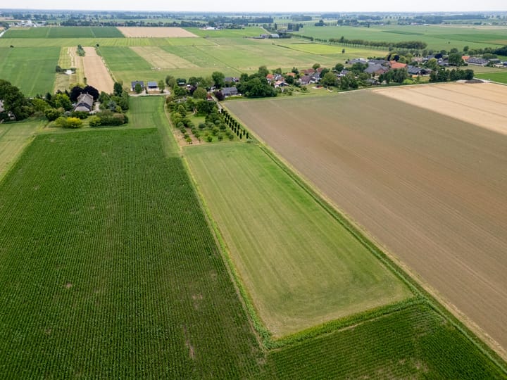 Foto 55 van Hillsestraat 10