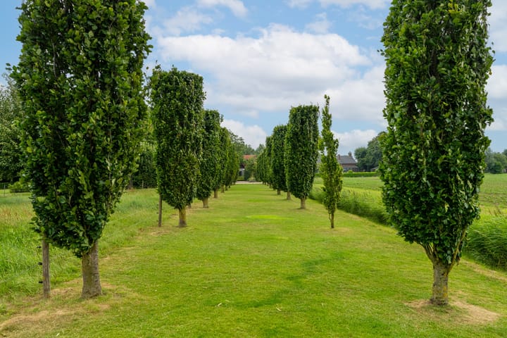 Foto 56 van Hillsestraat 10