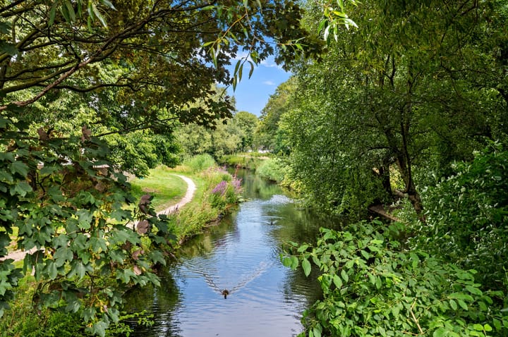 Foto 30 van De Genestetlaan 51