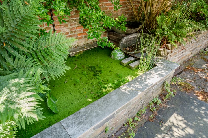 Foto 43 van Frederik Hendriklaan 3