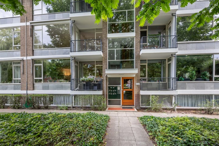 Foto 2 van Laan van Nieuw Oosteinde 119-D