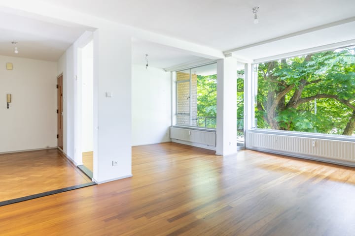 Foto 3 van Laan van Nieuw Oosteinde 119-D