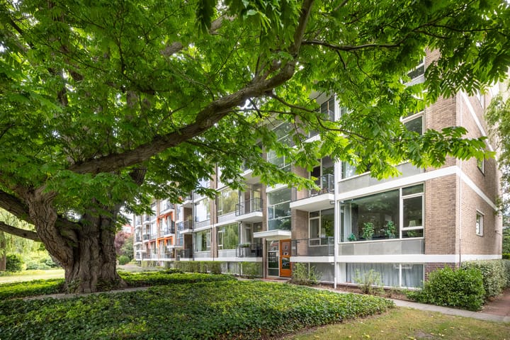 Foto 20 van Laan van Nieuw Oosteinde 119-D