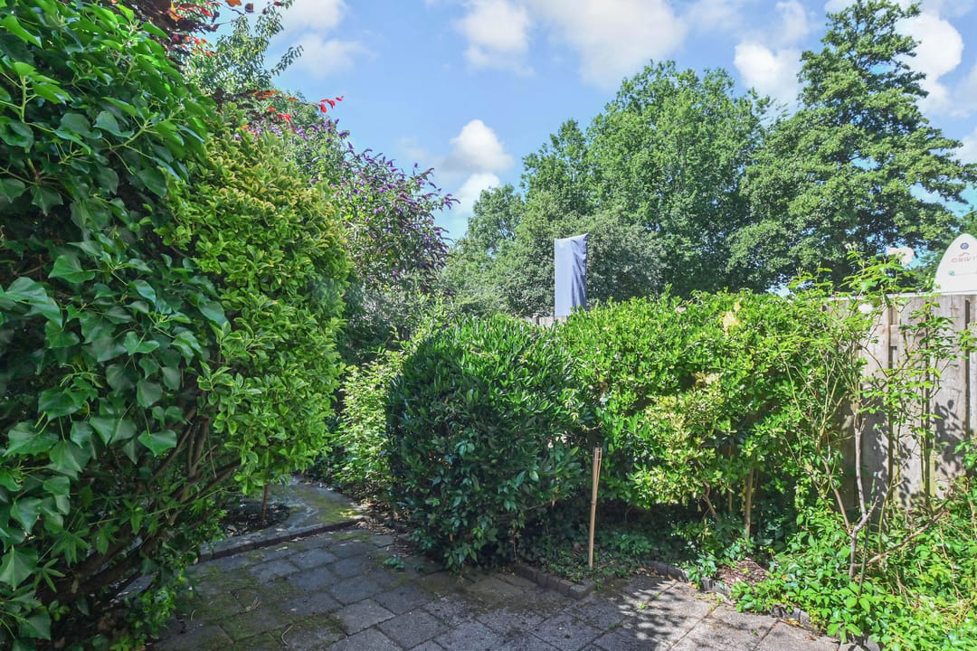 Foto 37 van Zilverberg 30