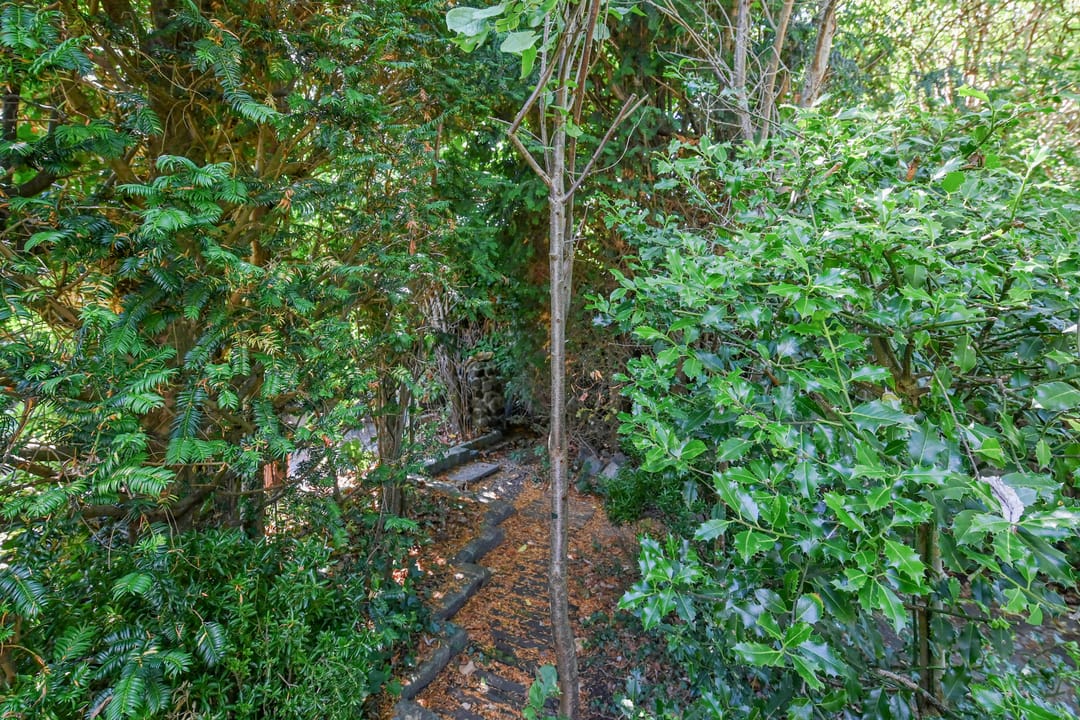 Foto 41 van Zilverberg 30