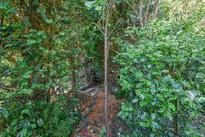 Foto 41 van Zilverberg 30