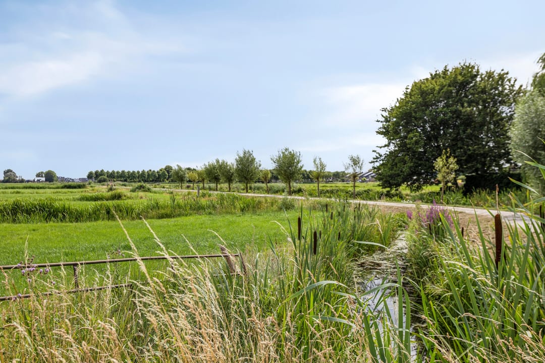 Foto 92 van Overstag 3