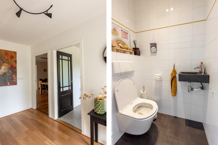 Foto 8 van Meteoorbaan 9