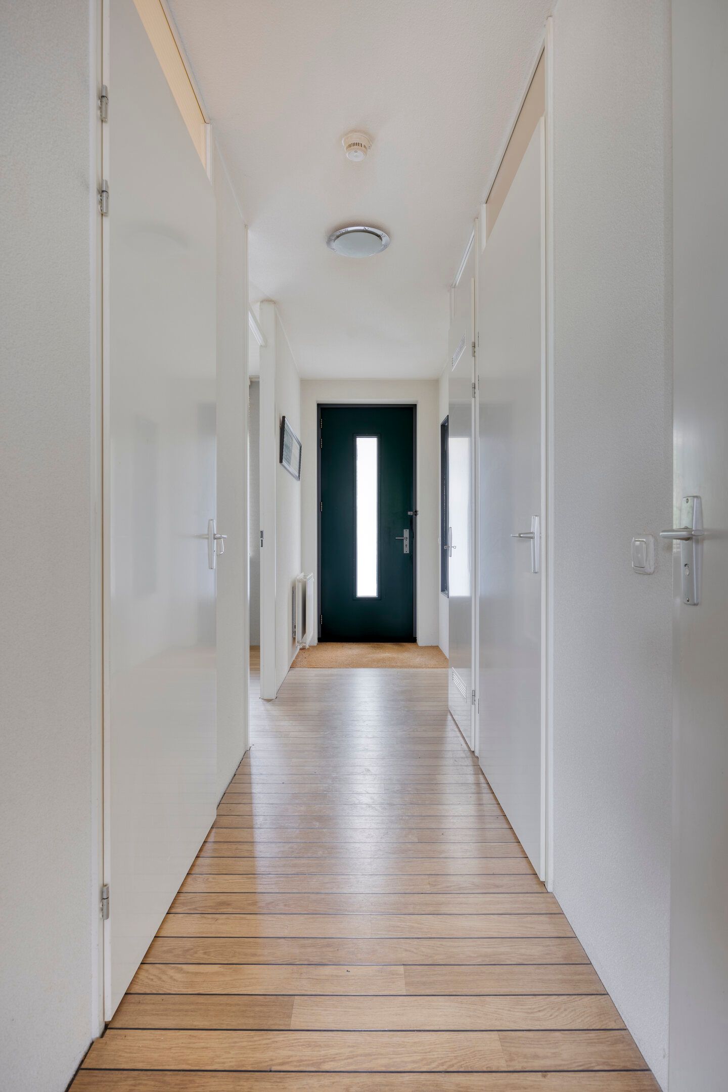 Foto 5 van Vossenzoom 16