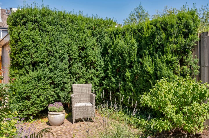 Foto 41 van Boomstede 269