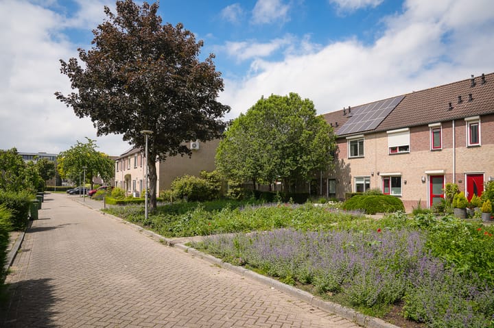 Foto 2 van Visserij 27