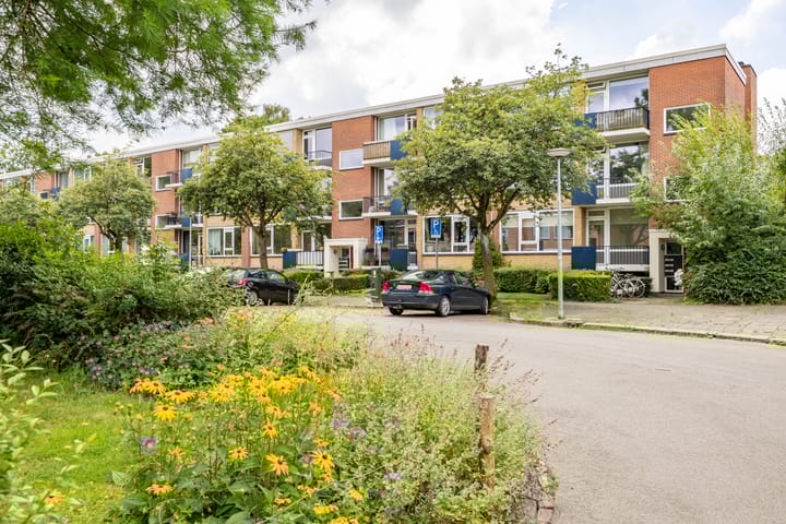 Foto 3 van Groen van Prinstererlaan 39