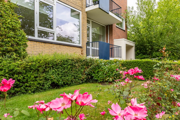 Foto 9 van Groen van Prinstererlaan 39