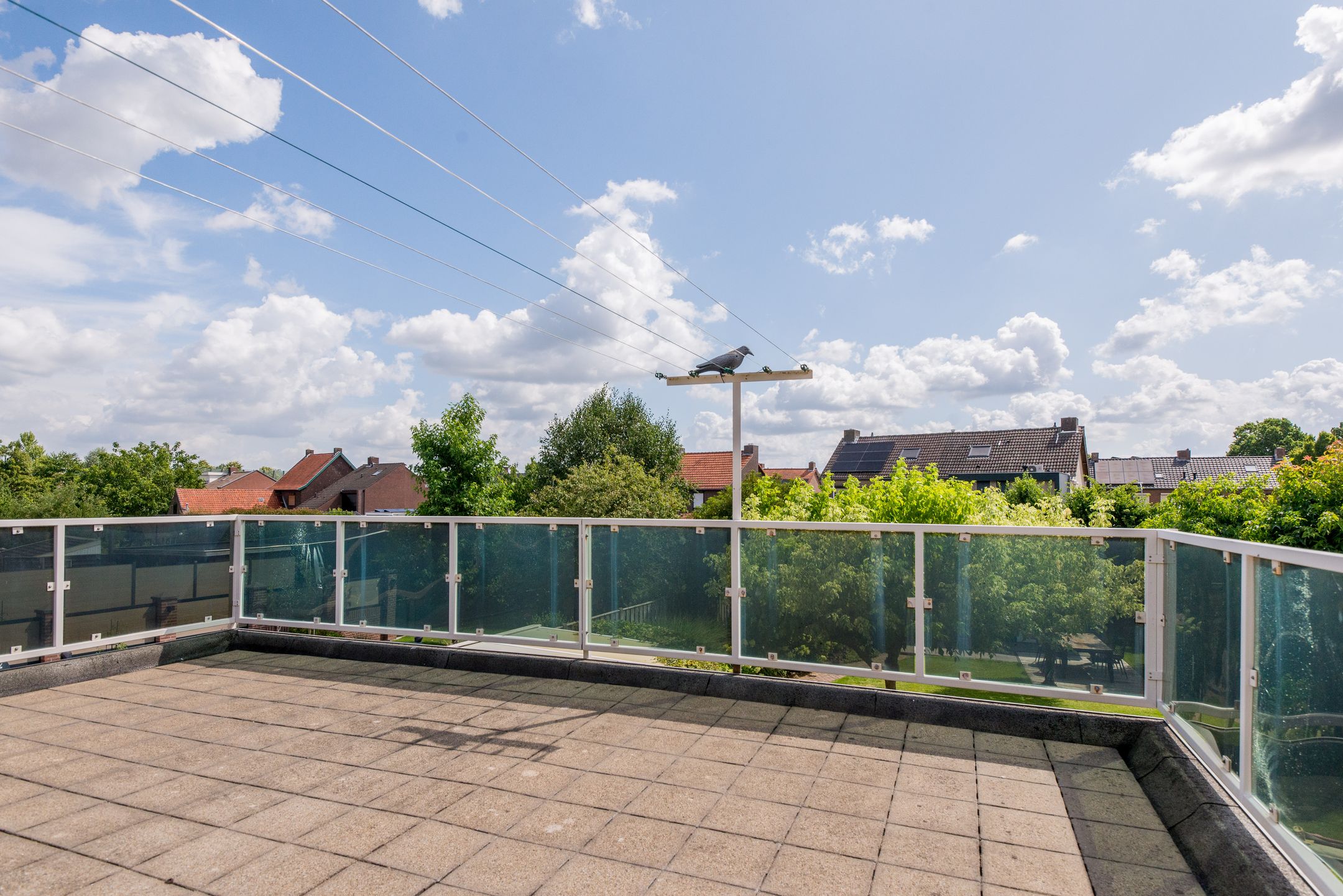 Foto 33 van Moutzveld 2