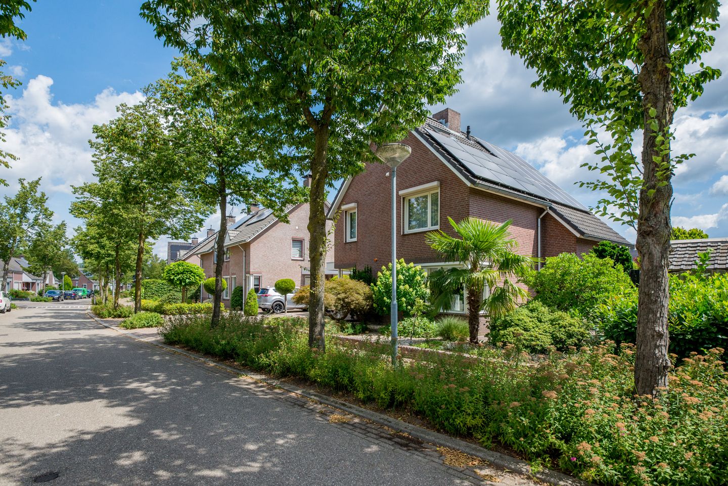 Foto 65 van Moutzveld 2