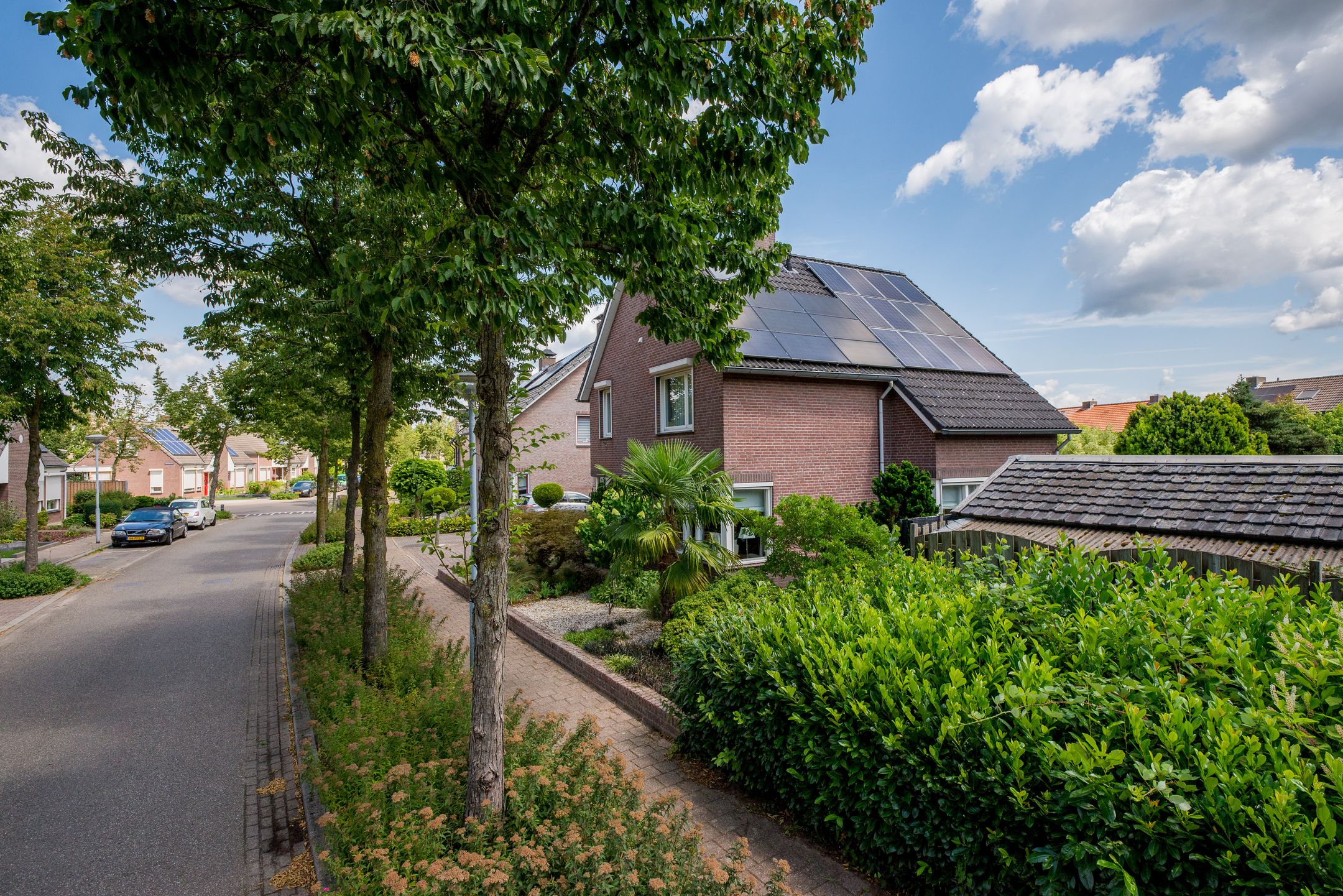 Foto 66 van Moutzveld 2