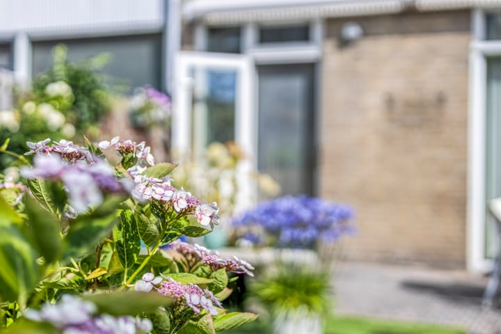 Foto 25 van Goeman Borgesiusstraat 5